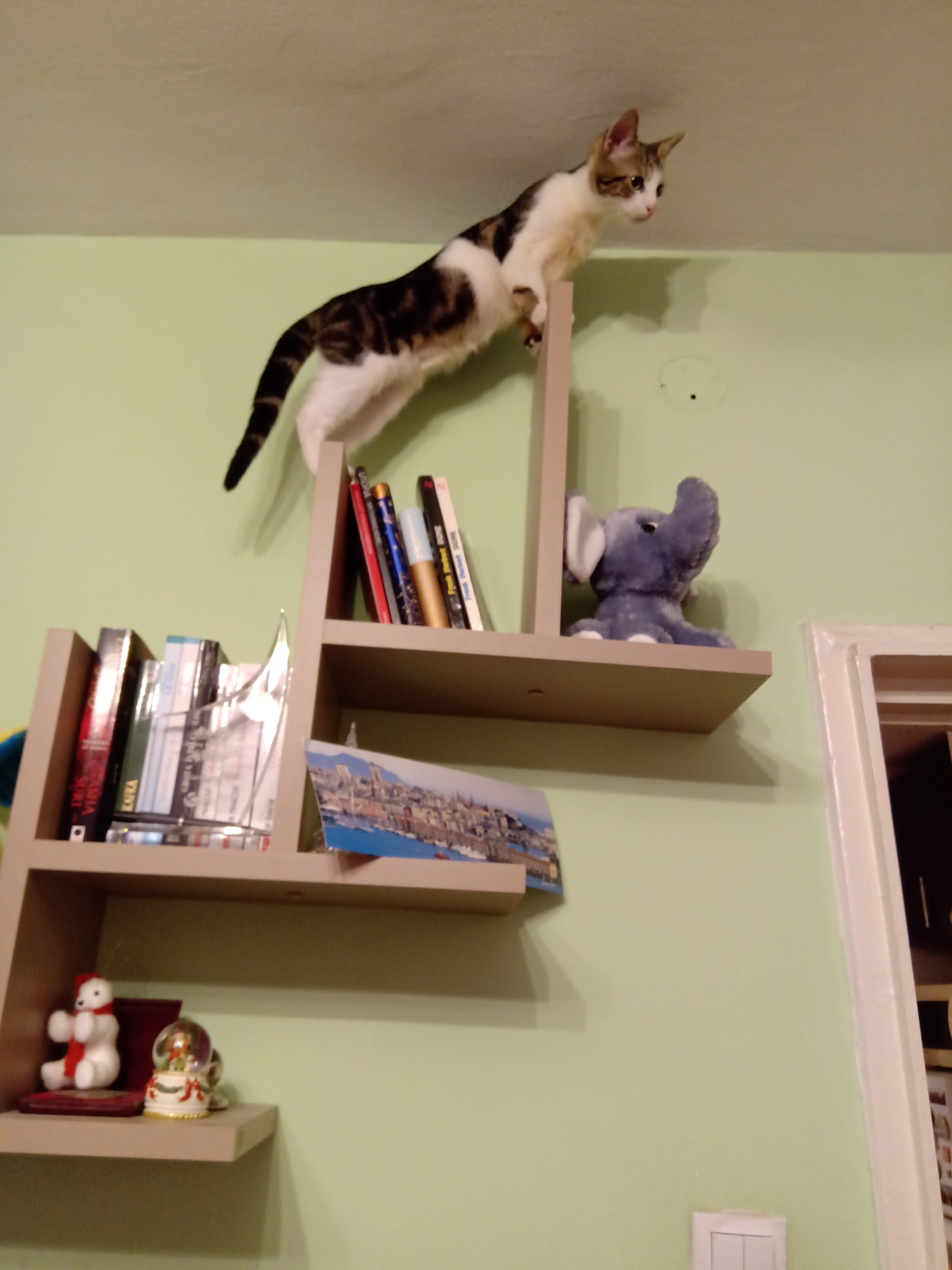 img_20201221_233544.jpg