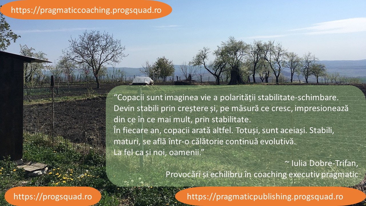 Stabilitate și schimbare - viața prin coaching pragmatic