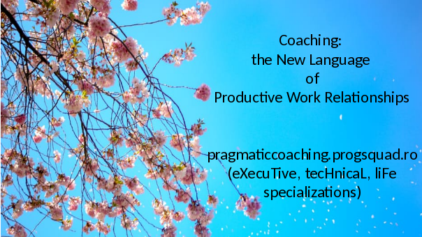 The Winds of Career Change