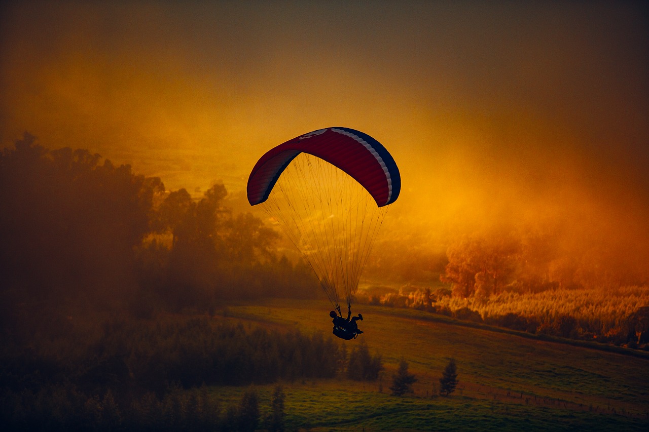 Viața mea – o aventură, o călătorie lină, sau…?