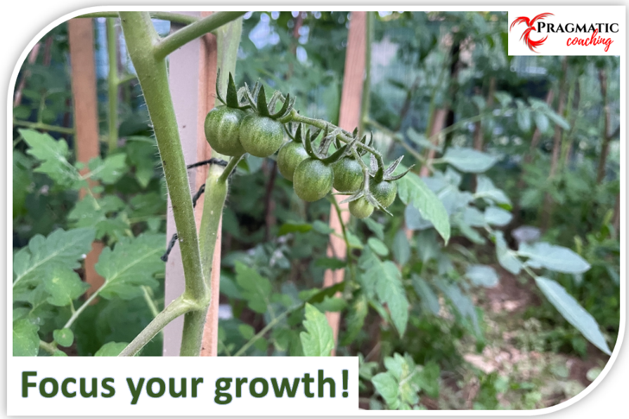 Focus your growth!