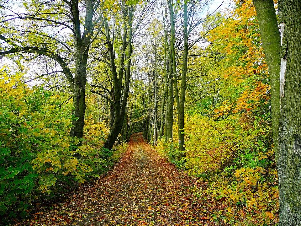 Life path