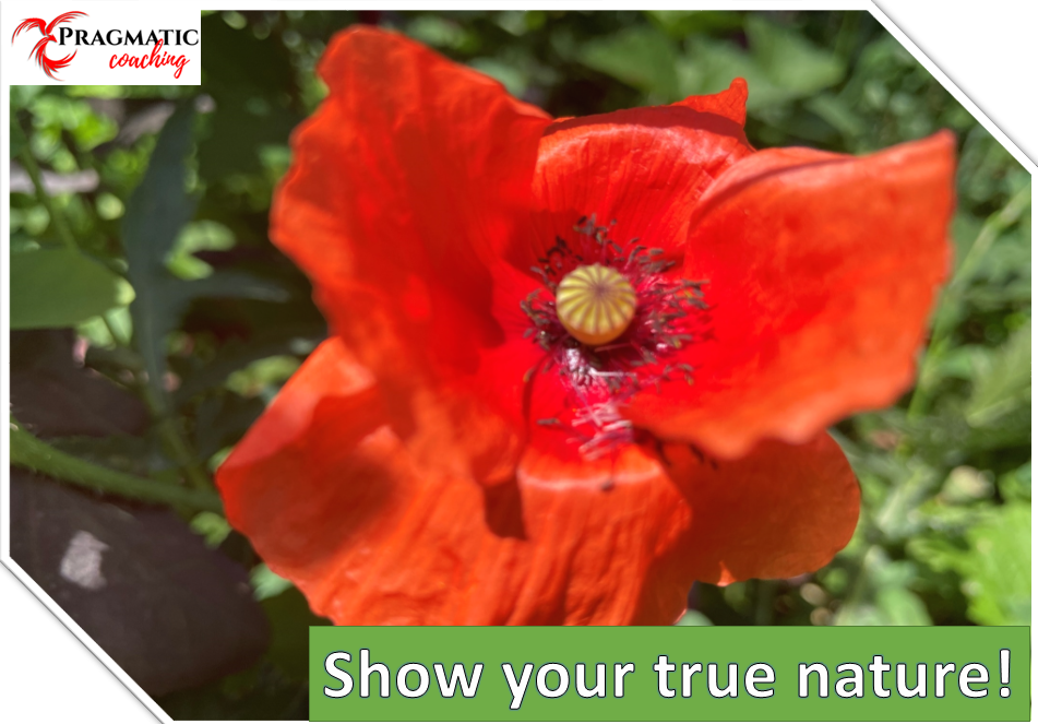 Show your true nature!